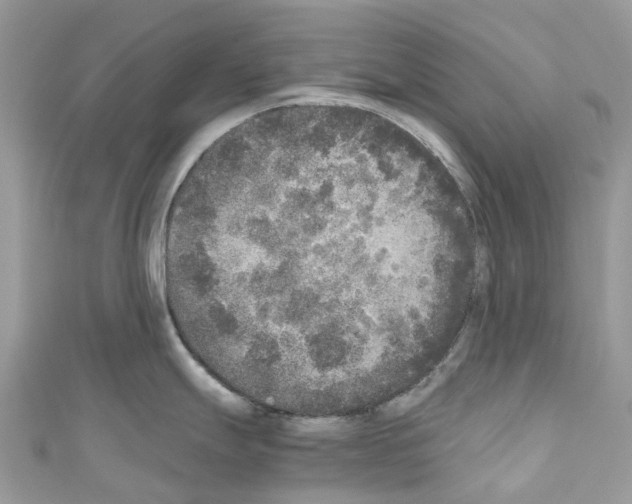 X0000110711247200907241139