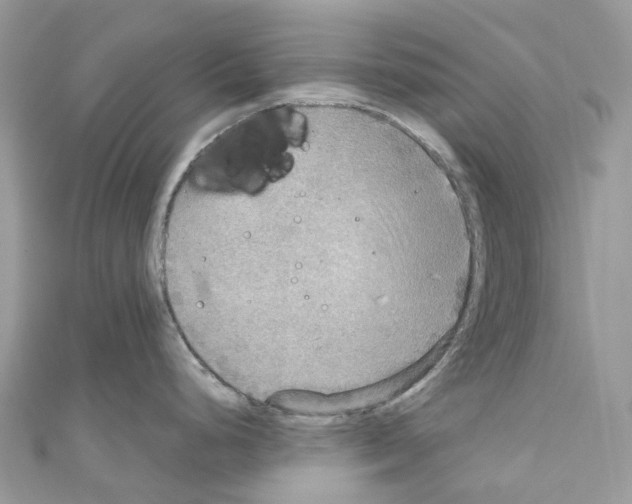 X0000110711248200907241139
