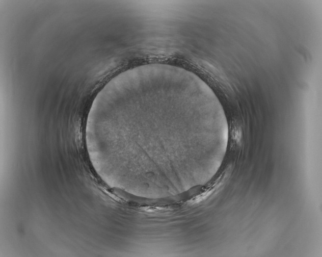 X0000110711252200907241138