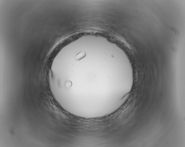 X0000110711256200907241138