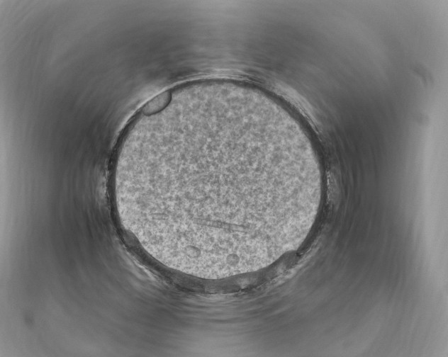 X0000110711260200907241138