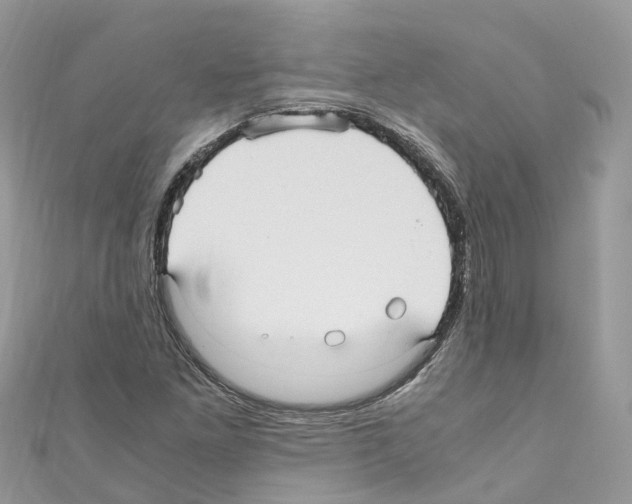 X0000110711261200907241138