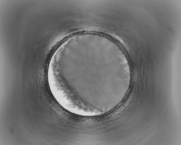 X0000110711263200907241138