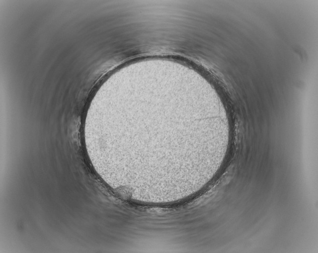X0000110711265200907241138