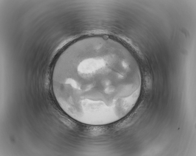 X0000110711266200907241138
