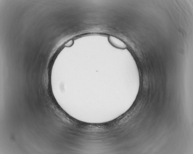 X0000110711270200907241138