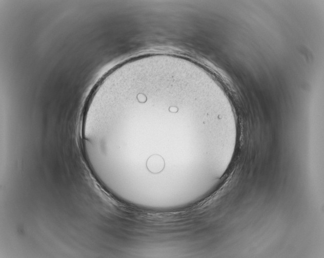 X0000110711272200907241138