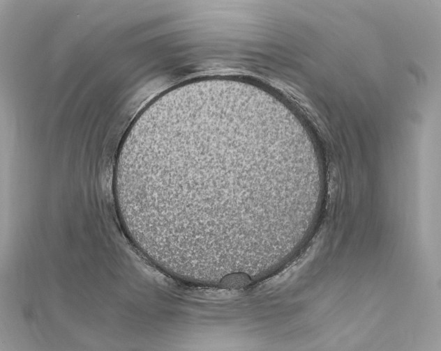 X0000110711273200907241138