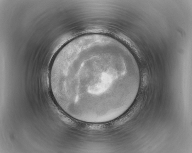 X0000110711274200907241138