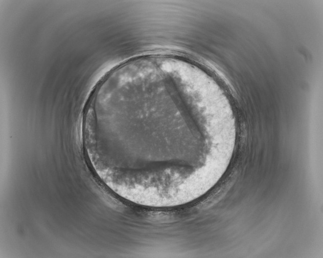 X0000110711275200907241138