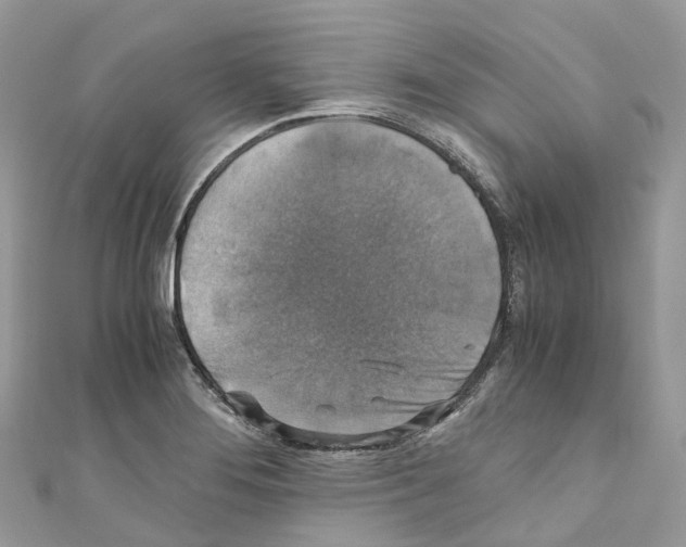 X0000110711276200907241138