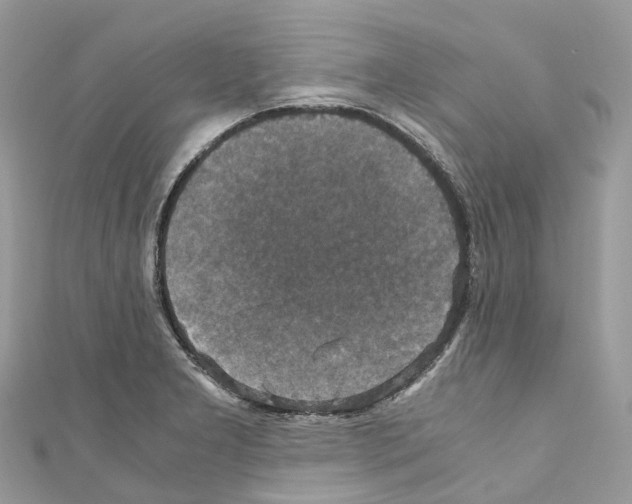 X0000110711277200907241138