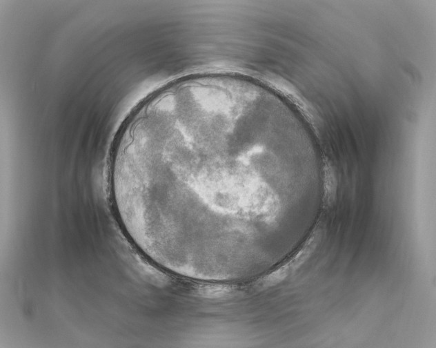 X0000110711278200907241138