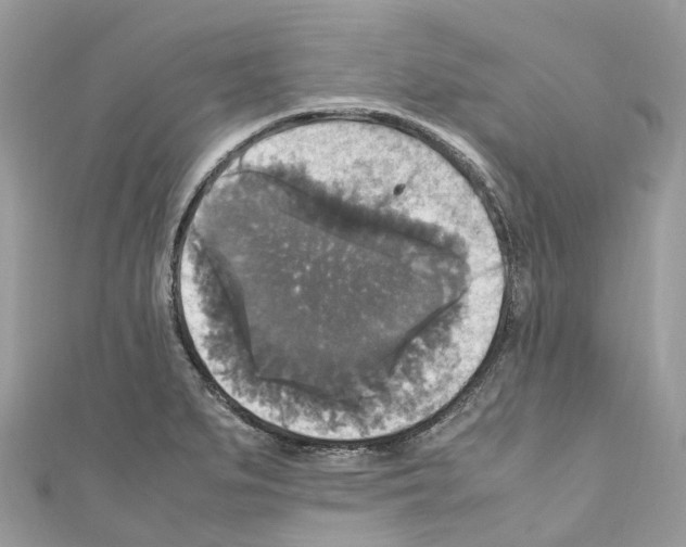 X0000110711279200907241138