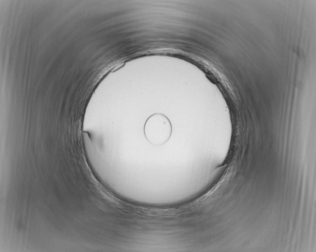 X0000110711281200907241138