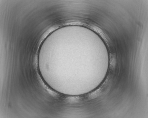 X0000110711282200907241138
