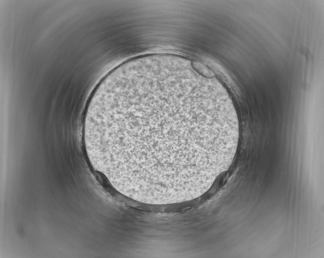 X0000110711284200907241138