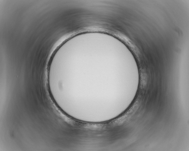X0000110711286200907241138