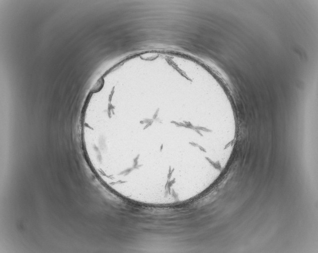 X0000110711287200907241138