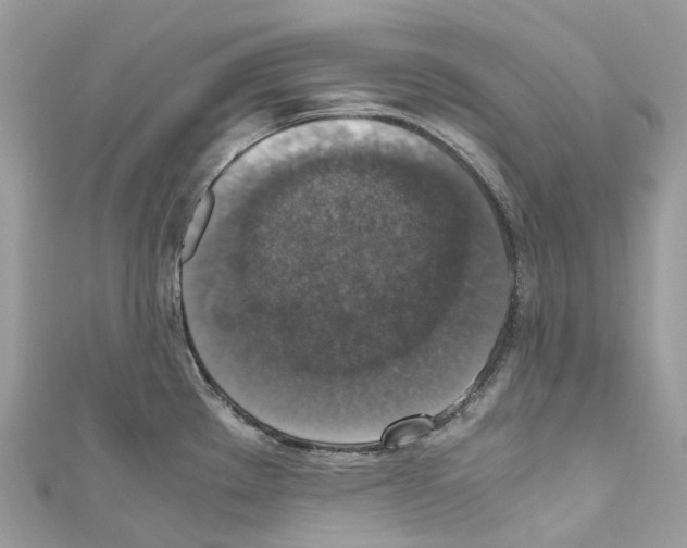 X0000110711289200907241138