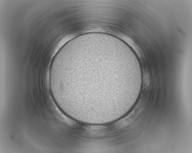 X0000110711290200907241138