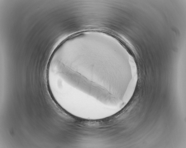 X0000110711291200907241138