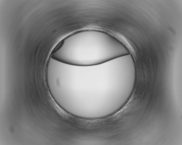 X0000110711292200907241138