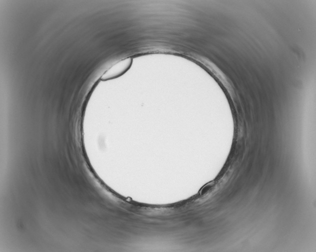 X0000110711293200907241138