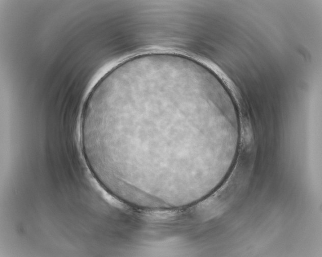 X0000110711294200907241138