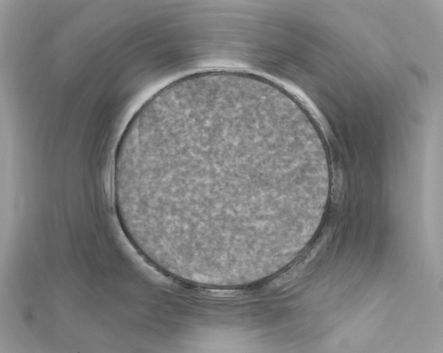 X0000110711295200907241138