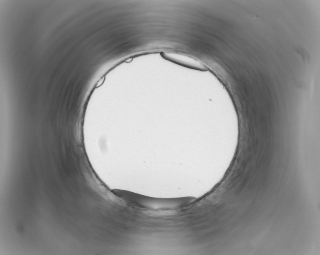 X0000110711296200907241138