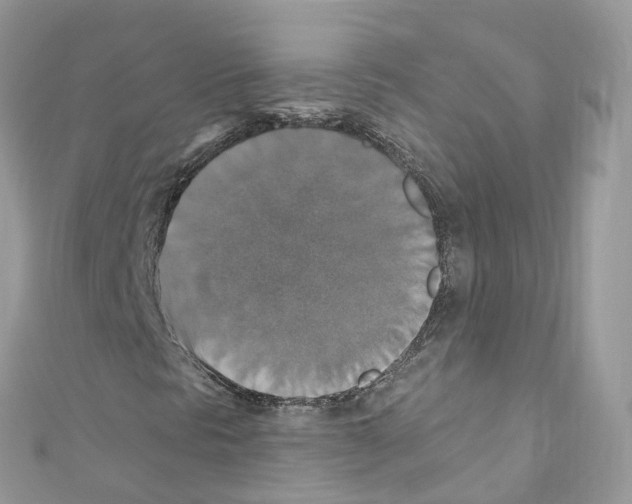 X0000110711297200907241137