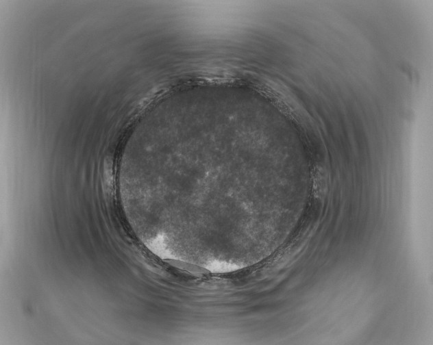 X0000110711298200907241137