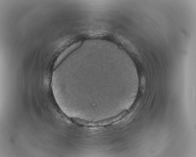 X0000110711300200907241137