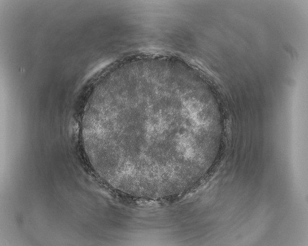 X0000110711302200907241137