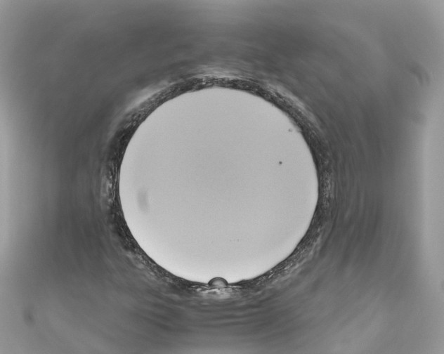 X0000110711303200907241137