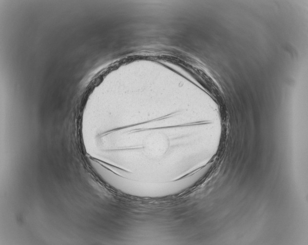 X0000110711304200907241137