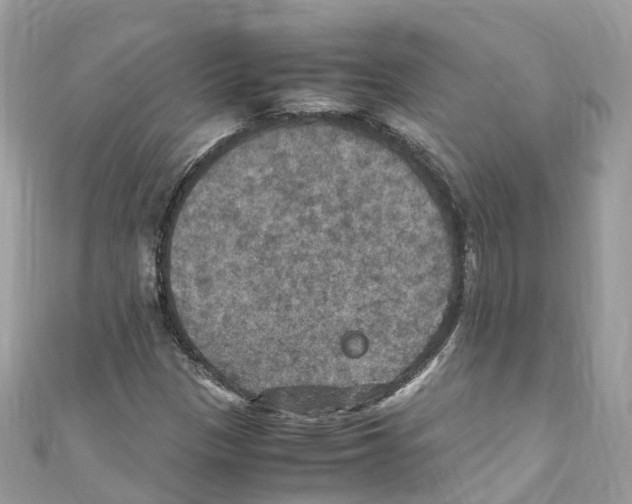 X0000110711305200907241137