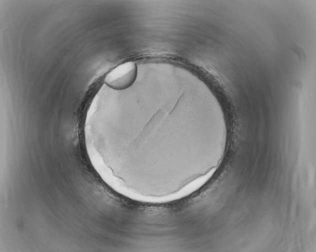 X0000110711306200907241137