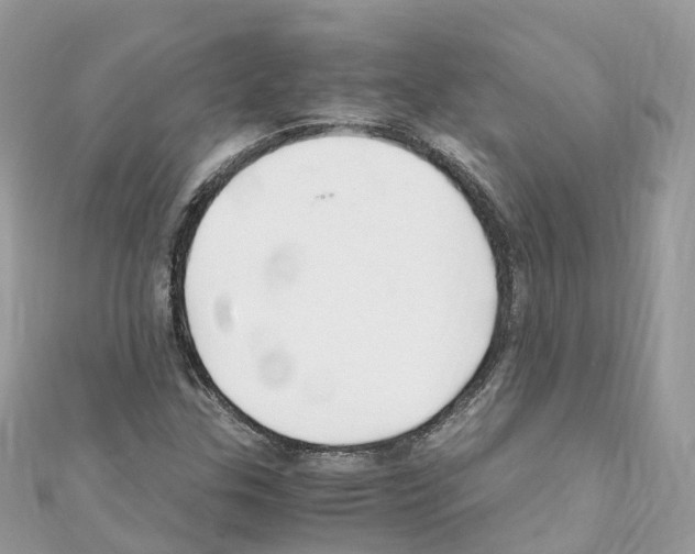 X0000110711307200907241137