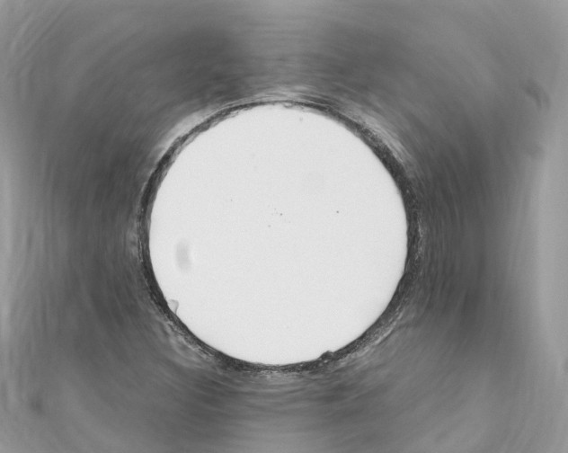 X0000110711308200907241137