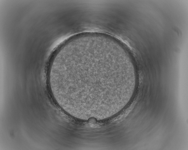 X0000110711311200907241137