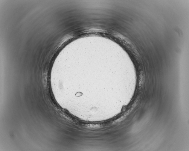 X0000110711313200907241137