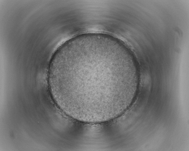 X0000110711314200907241137