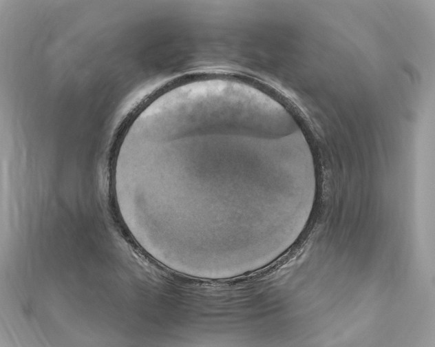 X0000110711319200907241137