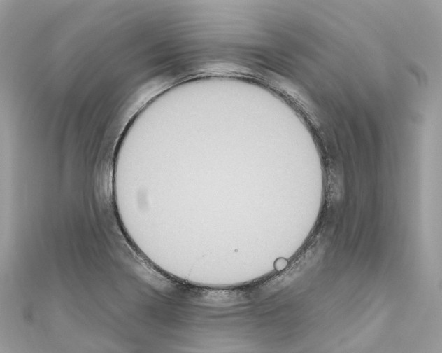 X0000110711322200907241137