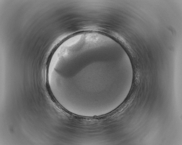 X0000110711323200907241137