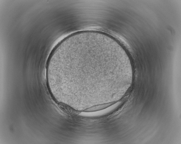 X0000110711324200907241137