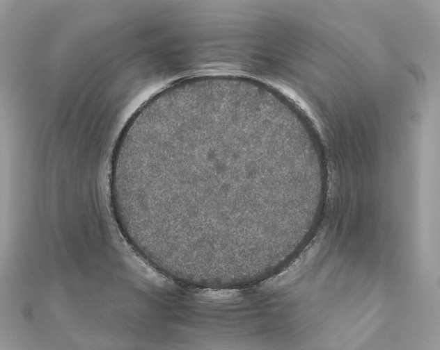 X0000110711325200907241137