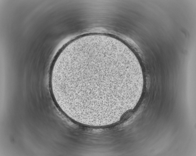 X0000110711326200907241137